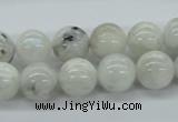 CMS206 15.5 inches 12mm round moonstone gemstone beads wholesale