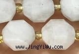 CMS2067 15 inches 9*10mm faceted white moonstone beads wholesale