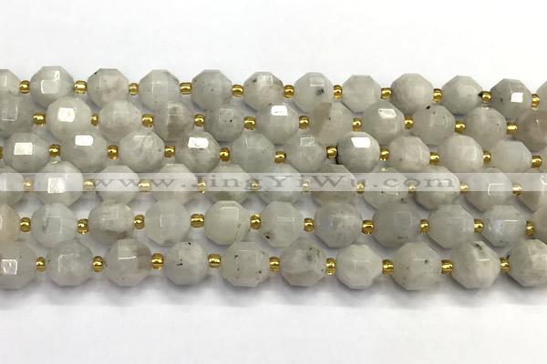 CMS2090 15 inches 9mm - 10mm faceted white moonstone beads