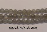 CMS300 15.5 inches 5mm round natural grey moonstone beads wholesale