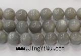 CMS304 15.5 inches 9mm round natural grey moonstone beads wholesale