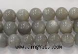 CMS305 15.5 inches 10mm round natural grey moonstone beads wholesale