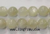 CMS313 15.5 inches 10mm round natural moonstone beads wholesale