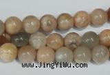CMS503 15.5 inches 8mm round moonstone beads wholesale