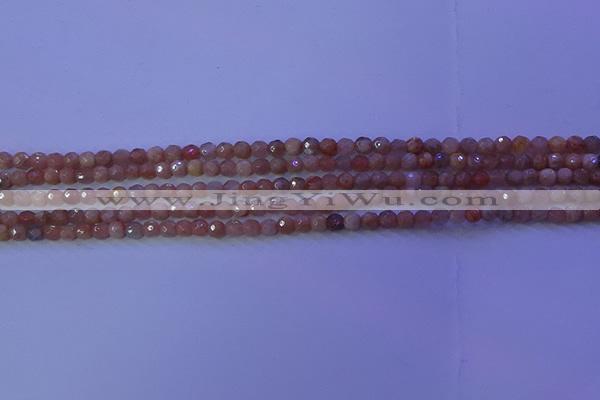 CMS569 15.5 inches 4mm faceted round moonstone gemstone beads