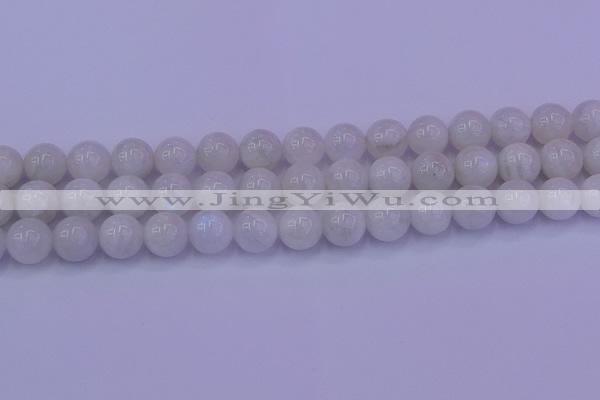 CMS644 15.5 inches 12mm round white moonstone beads wholesale