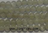 CMS651 15.5 inches 6mm round grey moonstone beads wholesale