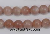 CMS754 15.5 inches 10mm round natural moonstone beads wholesale