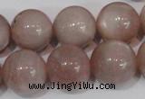 CMS759 15.5 inches 17mm round natural moonstone beads wholesale