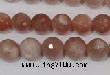 CMS765 15.5 inches 10mm faceted round natural moonstone beads