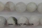 CMS802 15.5 inches 8mm faceted round white moonstone beads