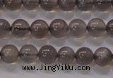CMS858 15.5 inches 6mm round A grade natural black moonstone beads