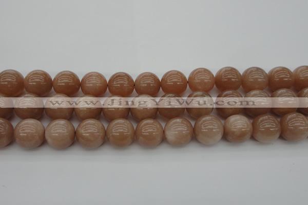 CMS935 15.5 inches 14mm round A grade moonstone gemstone beads