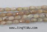 CMS99 15.5 inches 5*7mm faceted rice moonstone gemstone beads