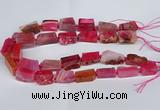 CNG2902 15.5 inches 12*16mm - 15*25mm freeform agate beads