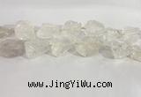 CNG3558 15.5 inches 18*20mm - 25*30mm nuggets rough white crystal beads