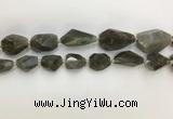 CNG3589 13*18mm - 15*30mm faceted nuggets labradorite beads