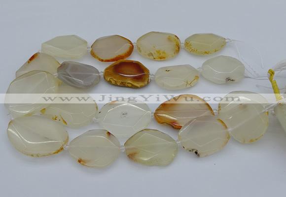 CNG5363 15.5 inches 20*30mm - 35*45mm faceted freeform agate beads
