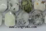 CNG5520 12*16mm - 15*20mm faceted nuggets white opal gemstone beads