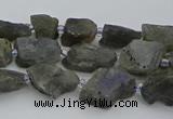CNG5527 15.5 inches 6*8mm - 10*15mm nuggets labradorite beads
