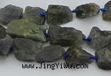 CNG5528 15.5 inches 10*14mm - 15*20mm nuggets labradorite beads