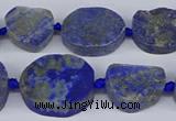 CNG5566 15.5 inches 12*16mm - 18*22mm freeform lapis lazuli beads