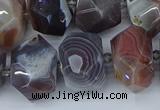CNG5680 12*16mm - 15*20mm faceted nuggets botswana agate beads