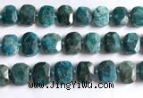 CNG5789 15.5 inches 13*18mm - 15*20mm faceted freeform apatite beads