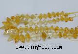 CNG5825 15.5 inches 8*18mm - 13*30mm freeform citrine beads
