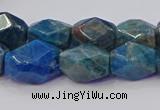CNG5926 15.5 inches 10*14mm - 12*16mm faceted nuggets apatite beads