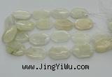 CNG6927 20*30mm - 35*45mm faceted freeform white moonstone beads