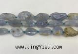 CNG6950 15.5 inches 18*20mm - 22*30mm freeform blue chalcedony beads