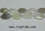 CNG7081 15.5 inches 25*35mm - 35*45mm faceted freeform agate beads