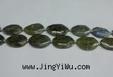 CNG7098 25*35mm - 35*45mm faceted freeform labradorite beads