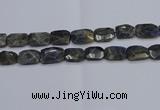 CNG7487 15.5 inches 18*25mm - 20*30mm faceted freeform labradorite beads