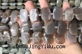 CNG7886 13*18mm - 15*25mm faceted freeform moonstone beads