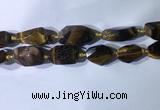 CNG7963 15.5 inches 15*25mm - 20*40mm nuggets yellow tiger eye beads