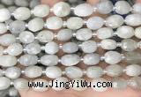 CNG8530 15.5 inches 8*9mm - 9*11mm faceted nuggets moonstone beads