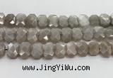 CNG8615 10*13mm - 12*16mm faceted freeform moonstone beads