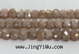 CNG8616 10*13mm - 12*16mm faceted freeform moonstone beads