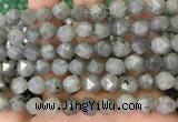 CNG8717 15.5 inches 10mm faceted nuggets labradorite gemstone beads