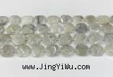 CNG8806 15.5 inches 16mm - 20mm faceted freeform moonstone beads