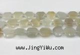 CNG8807 15.5 inches 16mm - 20mm faceted freeform moonstone beads