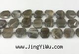 CNG8810 15.5 inches 16mm - 20mm faceted freeform moonstone beads