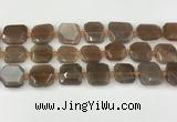 CNG8811 15.5 inches 16mm - 20mm faceted freeform moonstone beads