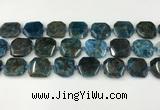 CNG8821 15.5 inches 16mm - 20mm faceted freeform apatite beads