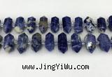 CNG8903 10*25mm - 14*30mm faceted nuggets sodalite beads
