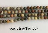 CNI370 15.5 inches 6mm round American picture jasper beads