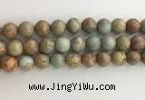 CNS704 15.5 inches 12mm round serpentine jasper beads wholesale