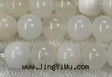COP1588 15.5 inches 6mm round white opal gemstone beads